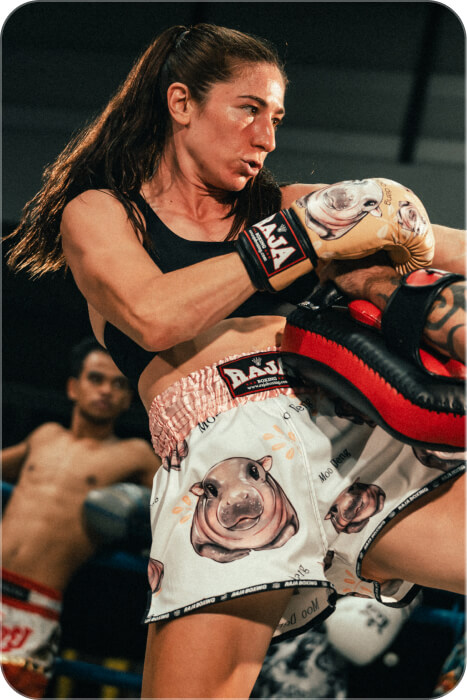 boxer